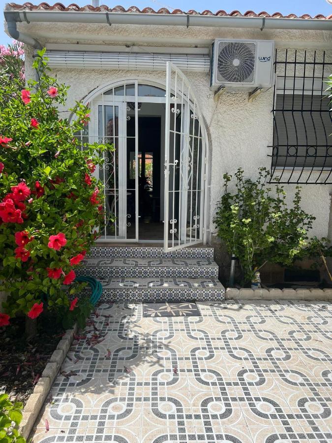 Holiday Apartments Torrevieja Eksteriør bilde