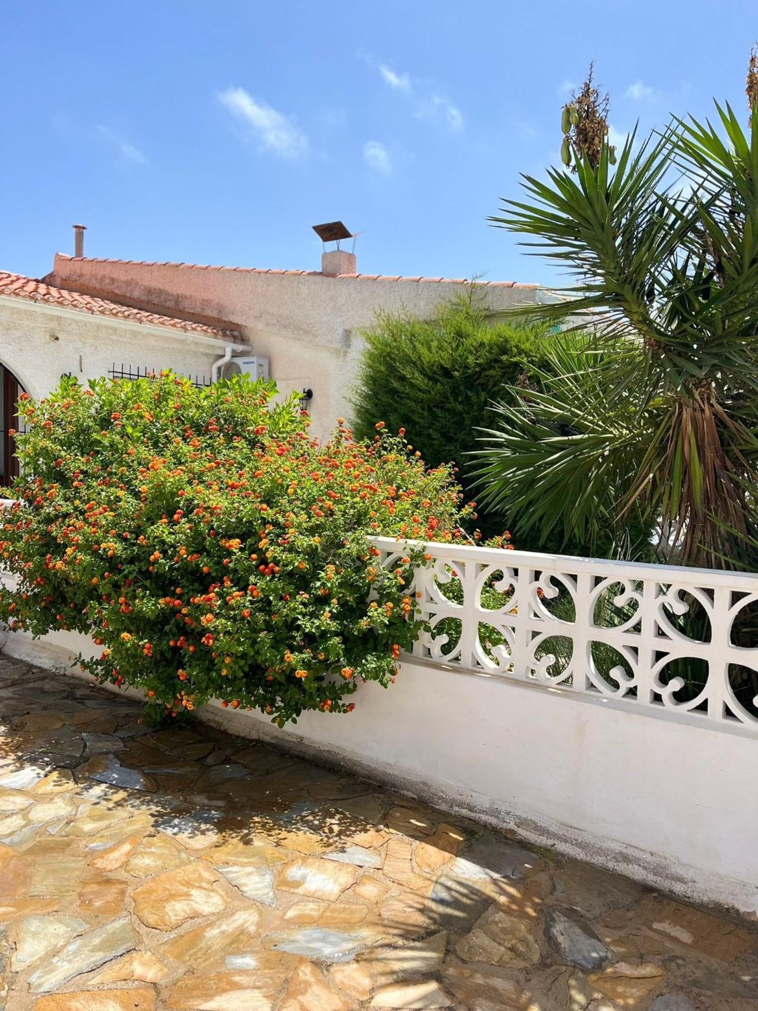 Holiday Apartments Torrevieja Eksteriør bilde