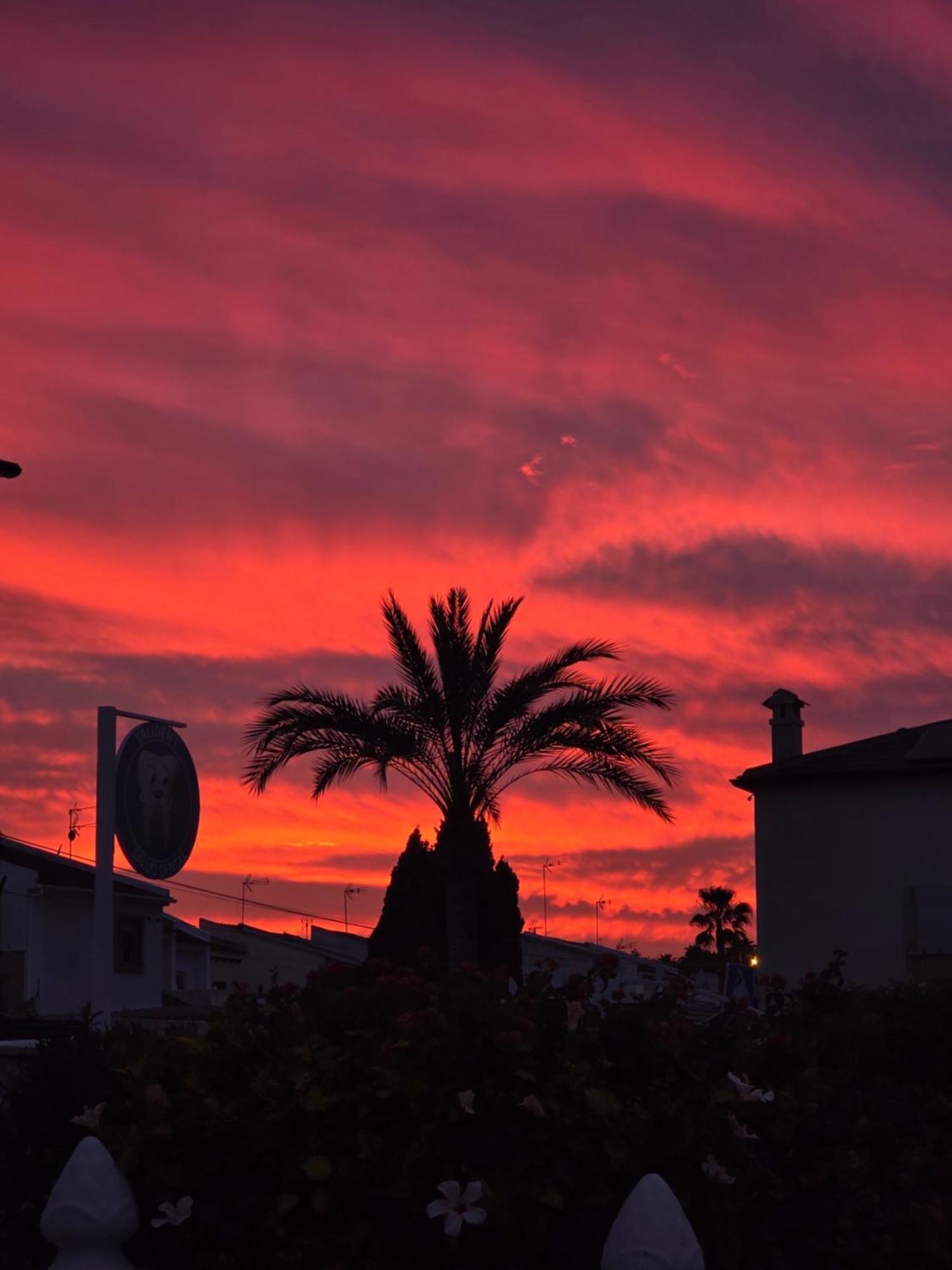 Holiday Apartments Torrevieja Eksteriør bilde